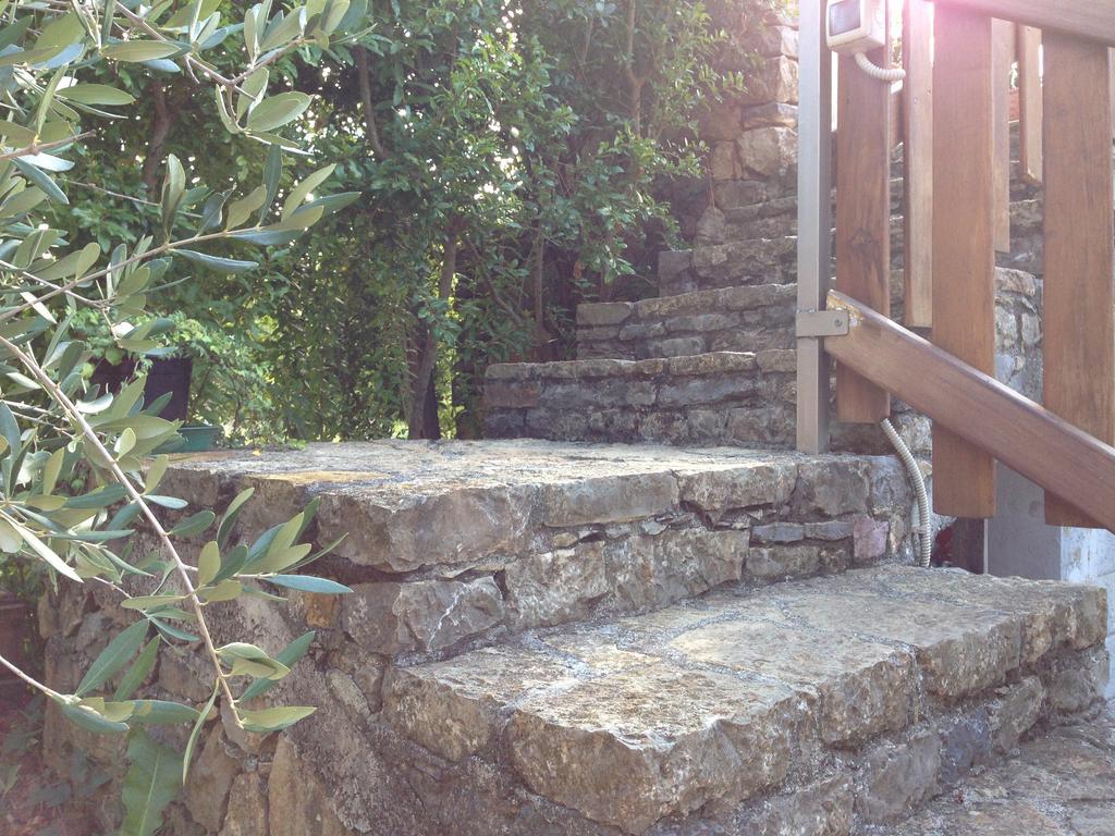 レーリチ Agriturismo "La Rosa Canina" Bed & Breakfast エクステリア 写真
