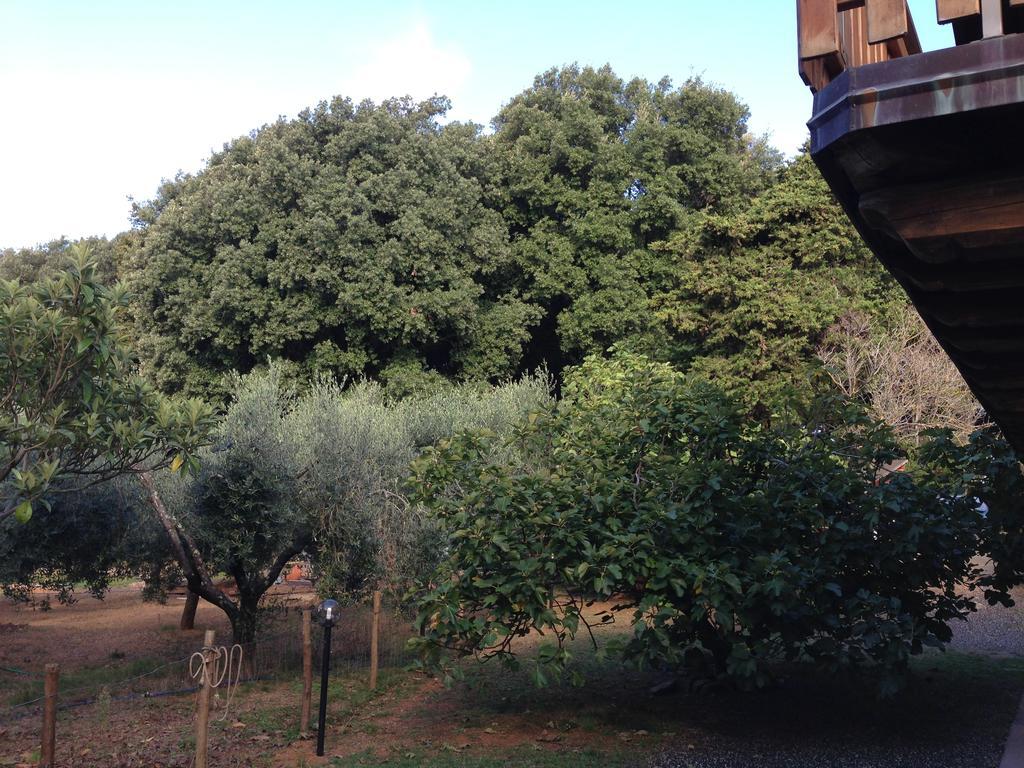 レーリチ Agriturismo "La Rosa Canina" Bed & Breakfast エクステリア 写真